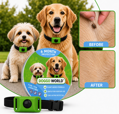 DoggoWorld™ – Cedarwood & Lemongrass Flea & Tick Tag for Dogs